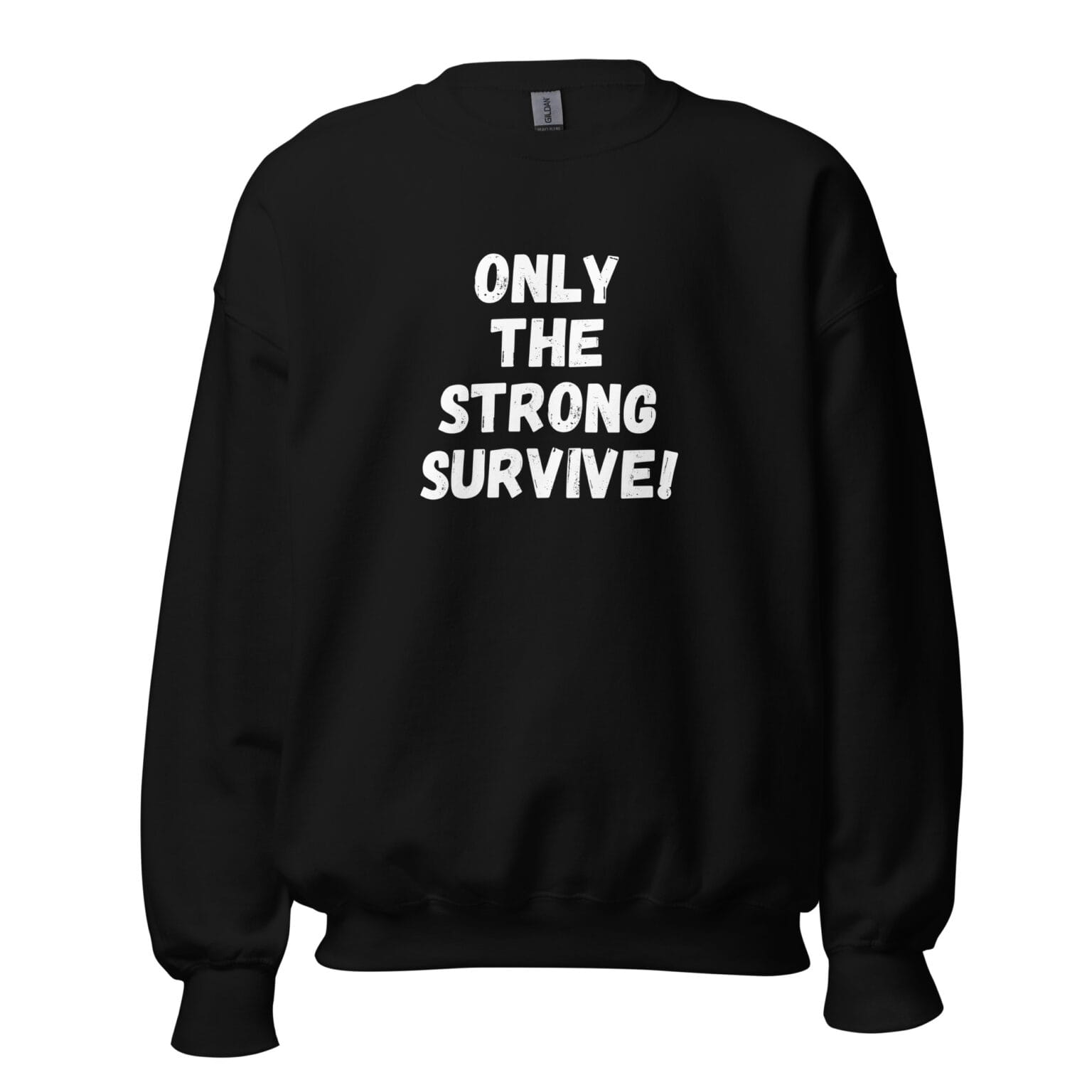 unisex-crew-neck-sweatshirt-black-front-6761666957e63